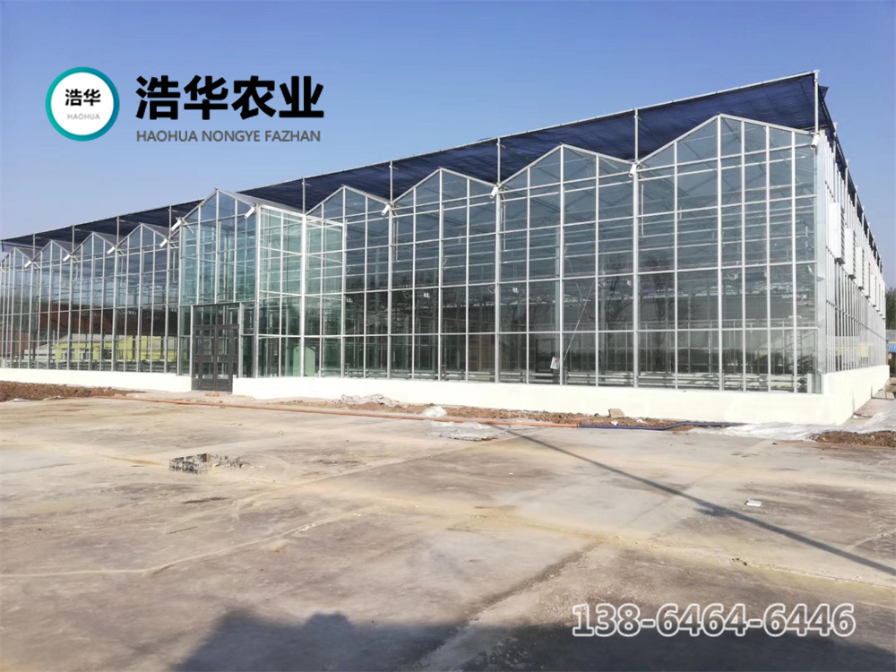 陽光板溫室
